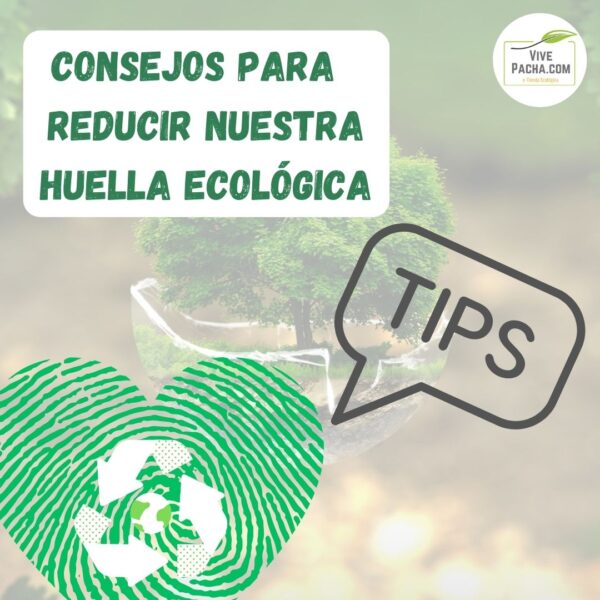 Consejos Para Reducir La Huella Ecol Gica Vive Pacha