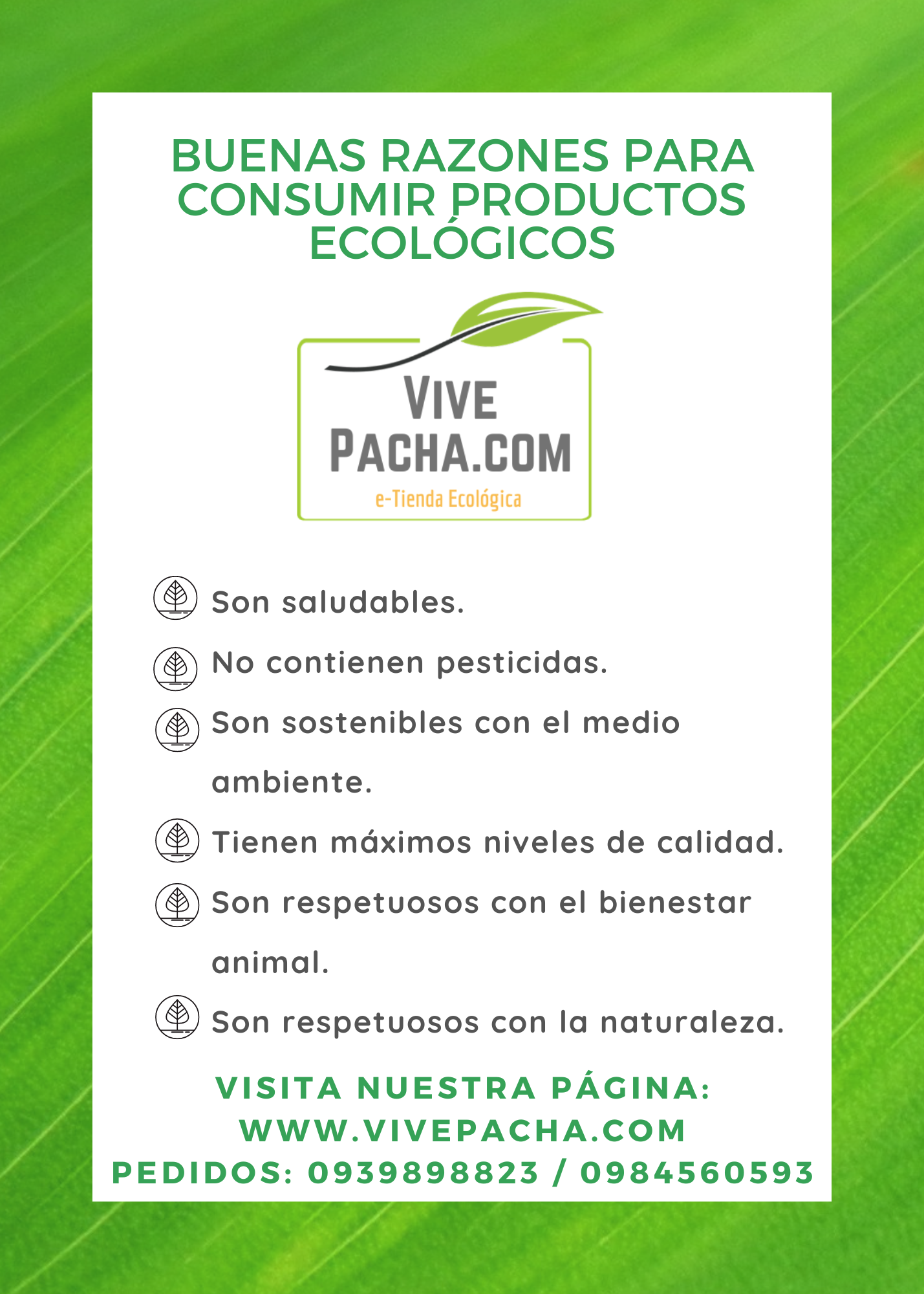 Importancia de los productos ecológicos