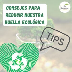 Consejos para reducir la huella ecológica